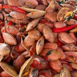 ผัดหอยลาย