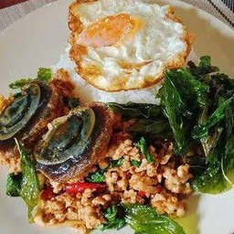 กะเพราหมูสับไข่เยี่ยวม้า(ทอดกรอบ]+ไข่ดาว [ราดข้าว]