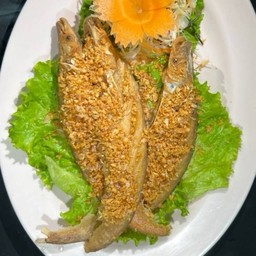 ปลาเนื้ออ่อนทอดกระเทียม.