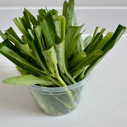 ผักบุ้ง