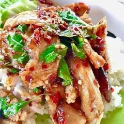ข้าวกระเพราคอหมูย่าง