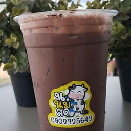 นมสด โกโก้