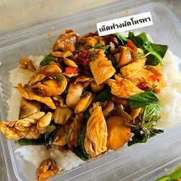 ข้าวราดเห็ดฟางผัดใบโหรพา