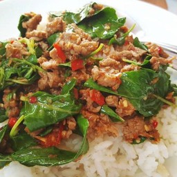 กระเพราเนื้อราดข้าว