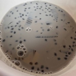 อาร์มนํ้าเต้าหู้ตลาดสาย2