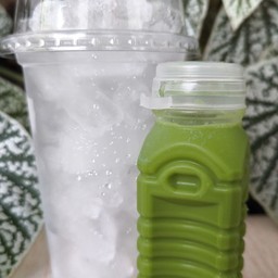 ชาเขียว300ml.พร้อมน้ำแข็ง 1 แก้ว