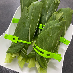 Bok Choy