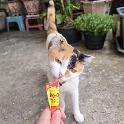 น้องมีทรัพย์