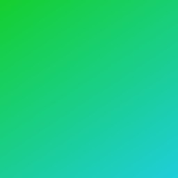 ข้าวไก่ชิ้น น้ำมันหอย