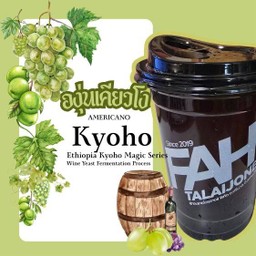 กาเเฟอเมริกาโน่องุ่นเคียวโฮ(คั่วอ่อน)