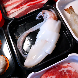 Premium Fresh Squid (Whole)