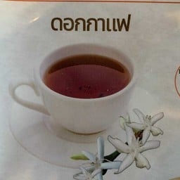Cafe Slowbean Chiang Rai