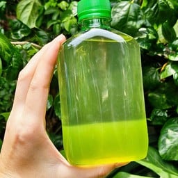 น้ำใบเตยวุ้นใบเตย