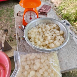 ลำใยแกะแช่แข็ง