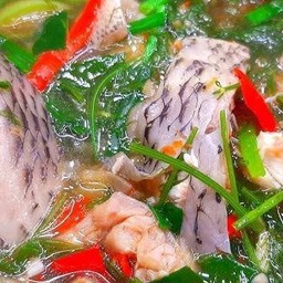 แกงอ่อมปลานิล