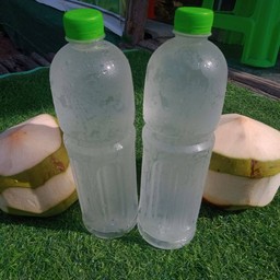 น้ำมะพร้าวน้ำหอมแท้ 1 ลิตร