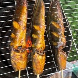 ปลาดุกเล็ก