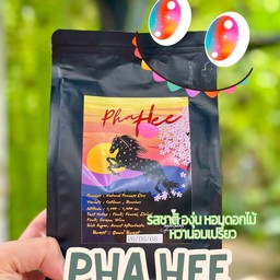 อเมกาโน่ คั่วอ่อน+ Pha hee ผาฮี้