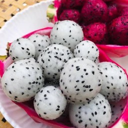 แก้วมังกร คว้านกลม