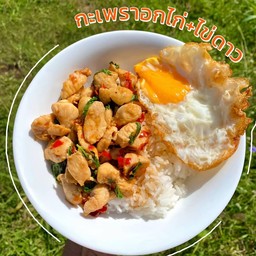 ข้าวกะเพราไก่+ไข่ดาว
