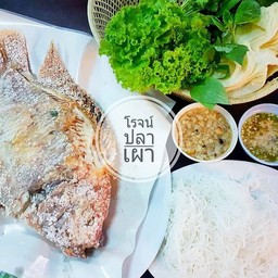 ปลาทับทิม