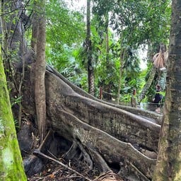 วัดศิริ​สุทโธ​