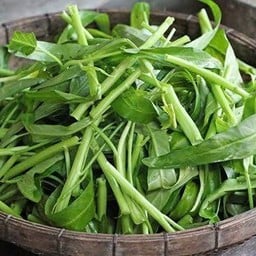 ผักบุ้ง