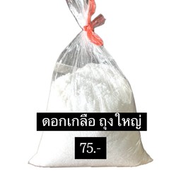 ดอกเกลือถุงใหญ่