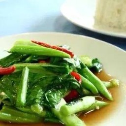 Stir Fried Kale in Oyster Sauce
