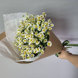 ช่อเดซี่(D1)