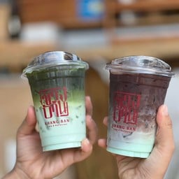 โกโก้ มิ้นท์