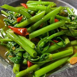 ผัดบุ้ง