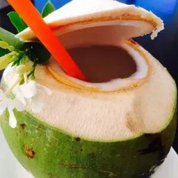 FRESH COCONUT