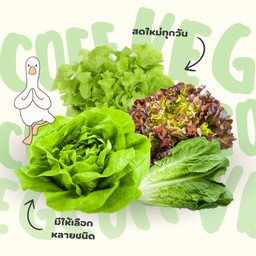 ผักสลัด (สดจากฟาร์ม) ขนาด 300 กรัม