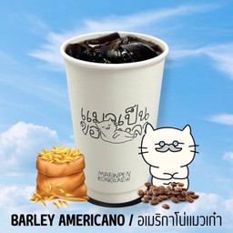 อเมริกาโน่แมวเก๋า BARLEY AMEOW-RICANO