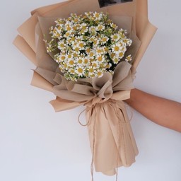 ช่อเดซี่(D2)