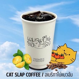 อเมริกาโน่แมวฉ้ม CAT SLAP COFFEE