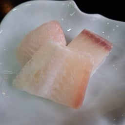 ปลาดอลลี่