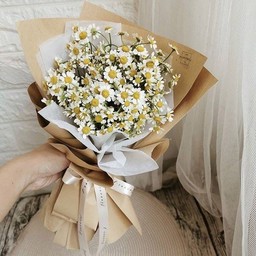 ช่อเดซี่(D3)