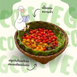 มะเขือเทศเชอร์รี่  ( เรดไดม่อน )