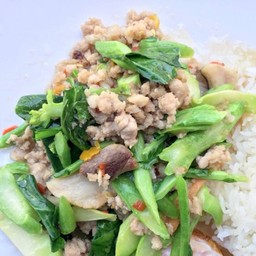 คะน้าหมูสับ ราดข้าว