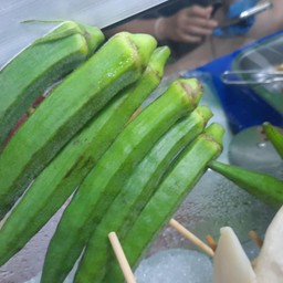 ดอกกระเจี๊ยบ