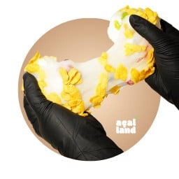 โมจิครีมชีสผลไม้