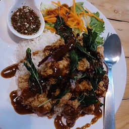 ไลท์เฮ้าส์ สเต็ก