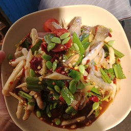 ตำขาไก่