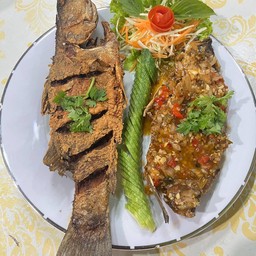 ปลากระพงสองใจ