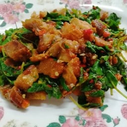 ผัดกะเพราหมูกรอบ (กับ)