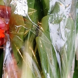 ผักกวางตุ้ง