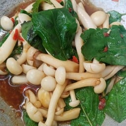 กะเพราเห็ด ราดข้าว