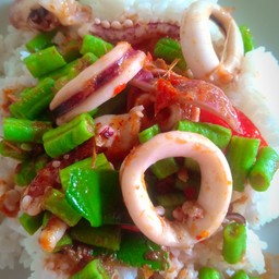 พริกแกงปลาหมึกไส่ถั่วราดข้าว